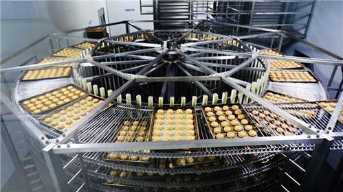 甩開歷史包袱，走好三條路 稻香村集團以技術開發引領高質量發展